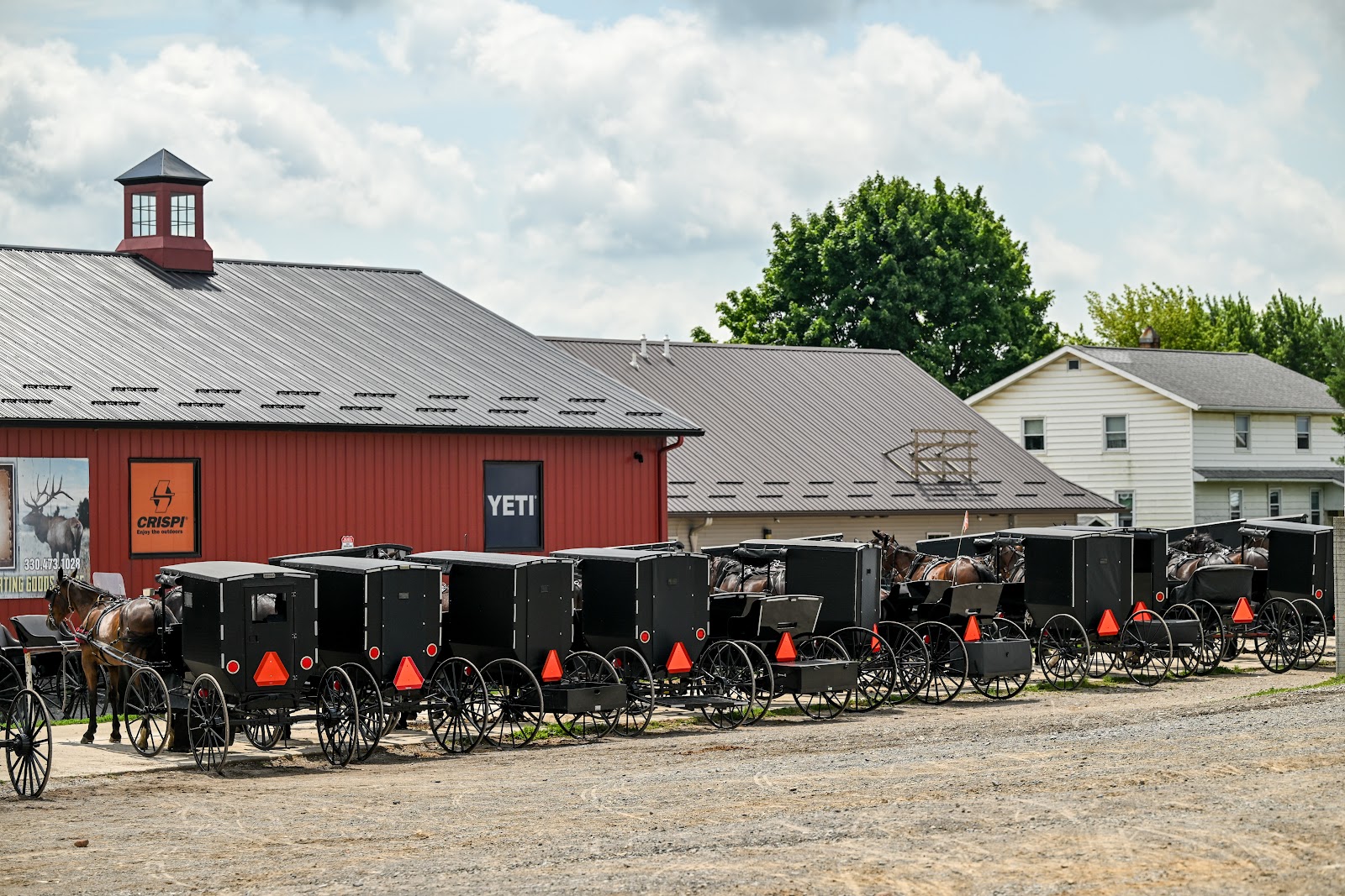 Farmer's Produce Auction photo 2