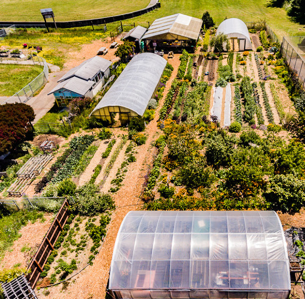 Noyo Food Forest