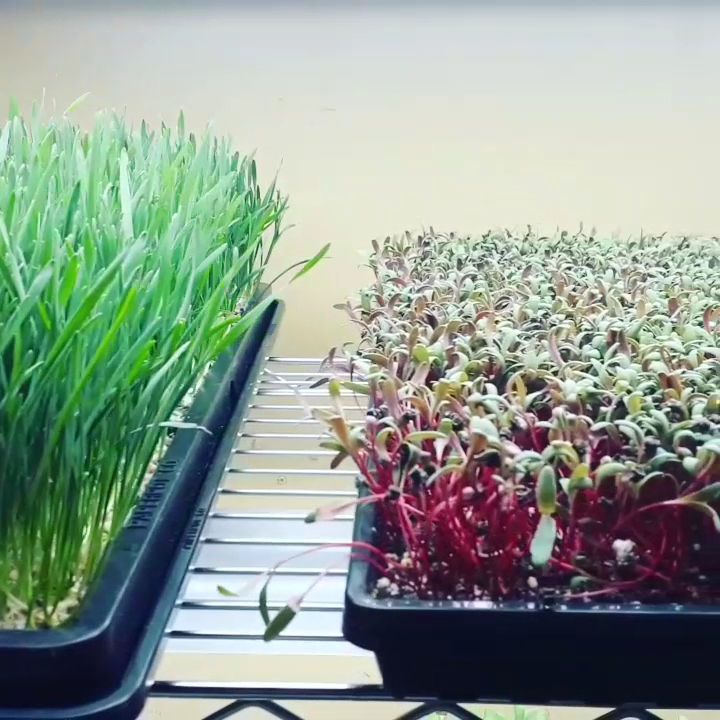 All Seasons Farmer LLC photo 2