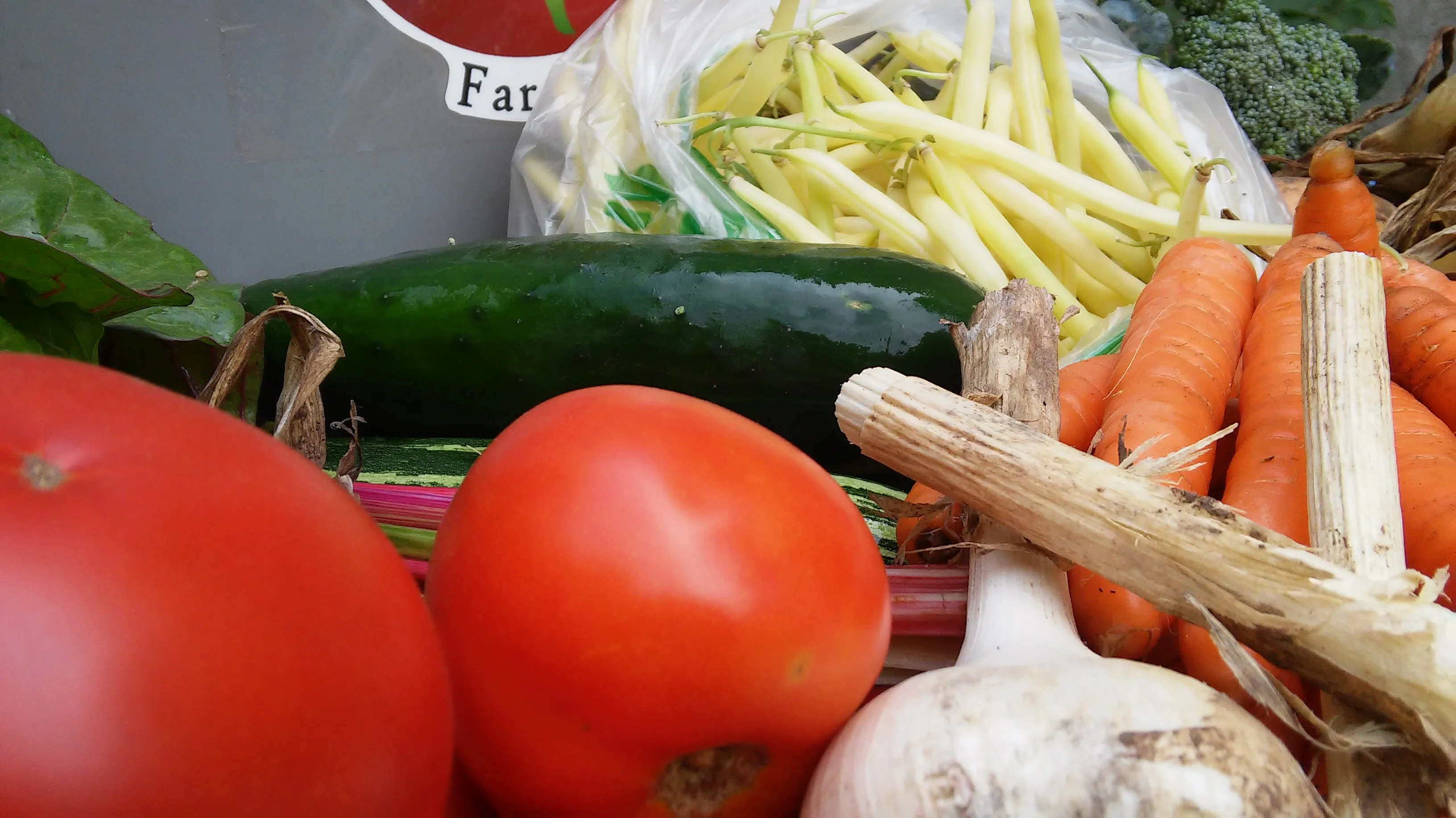 Fresh Earth Farms - CSA