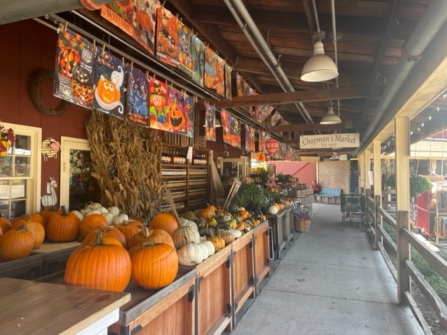 City of Virginia Beach Farmers Market photo 2