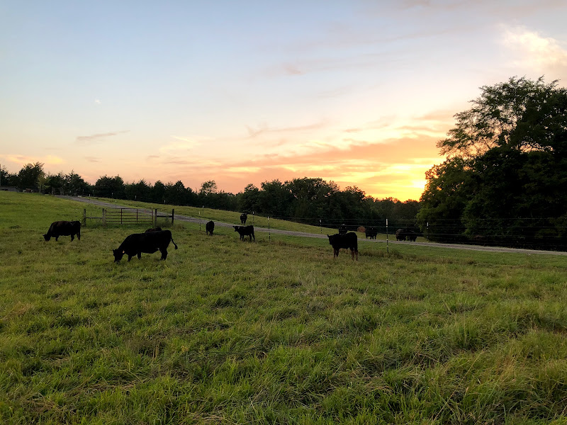 Trinity Farms photo 2