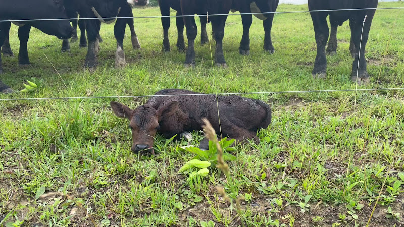 Trinity Farms photo 3