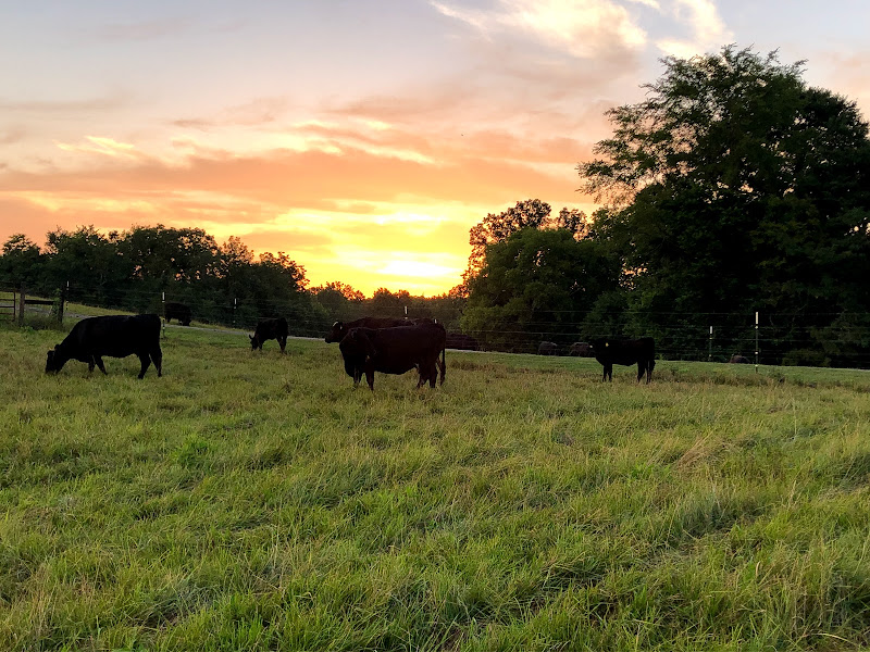 Trinity Farms photo 4