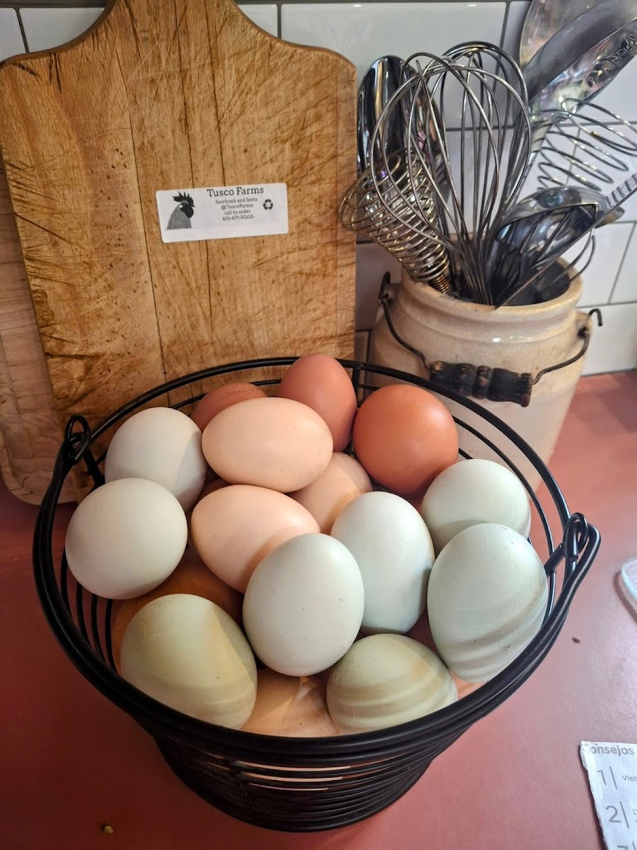 O.K. Haven Farm photo 2