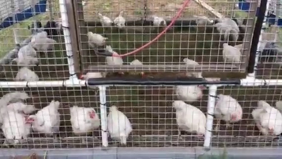 Humble Nature Farm photo 2