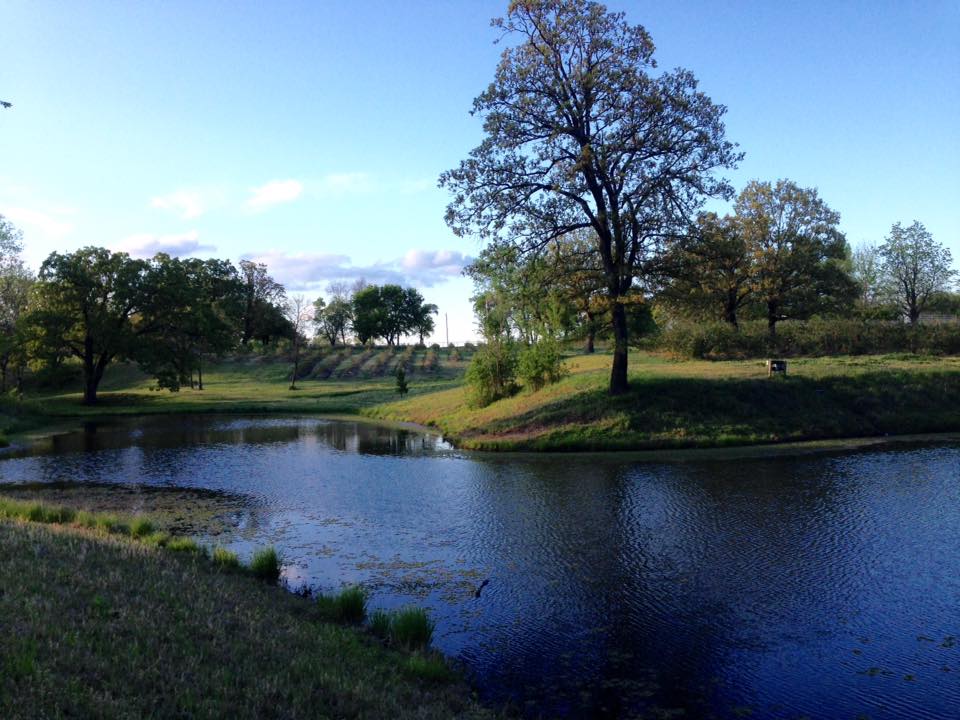 Endicott Farms LLC photo 2