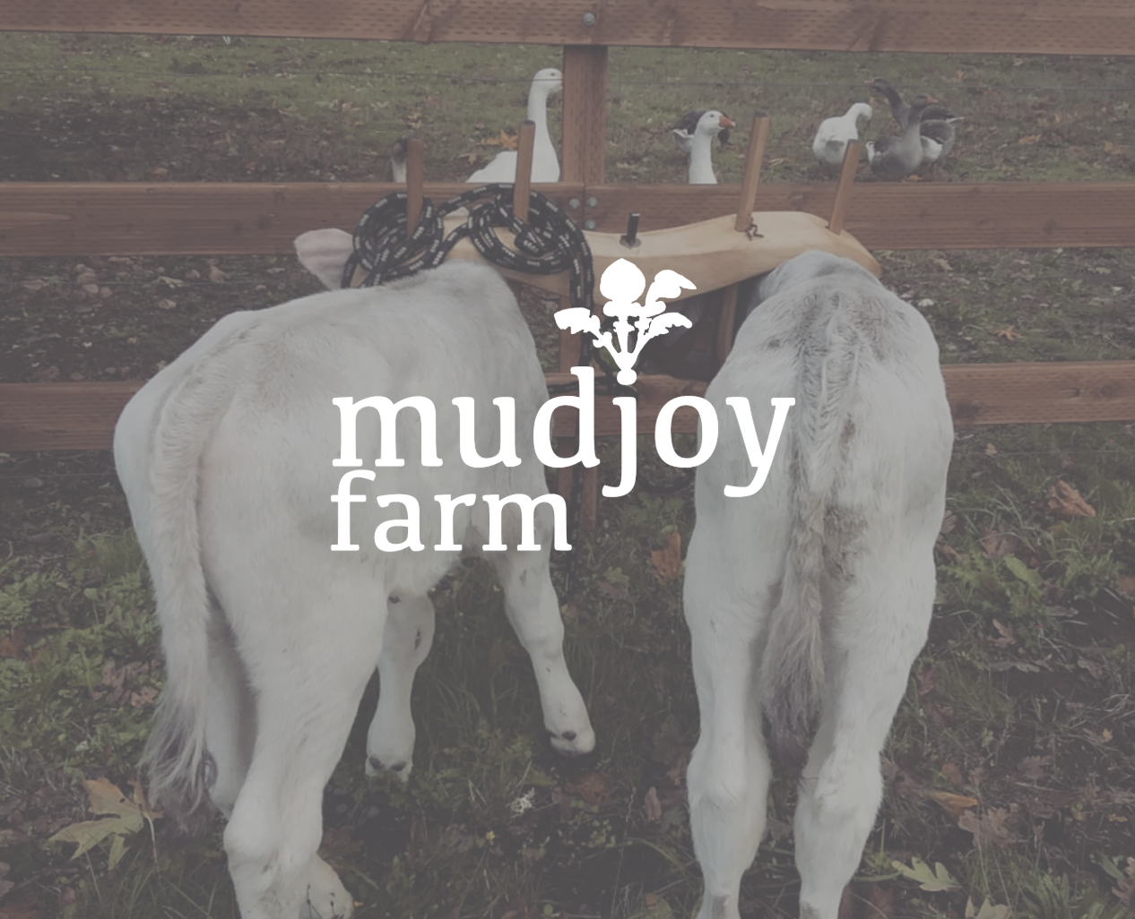 Mudjoy Farm