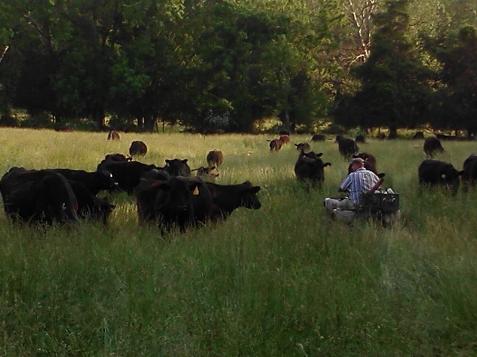 Smith Family Farm