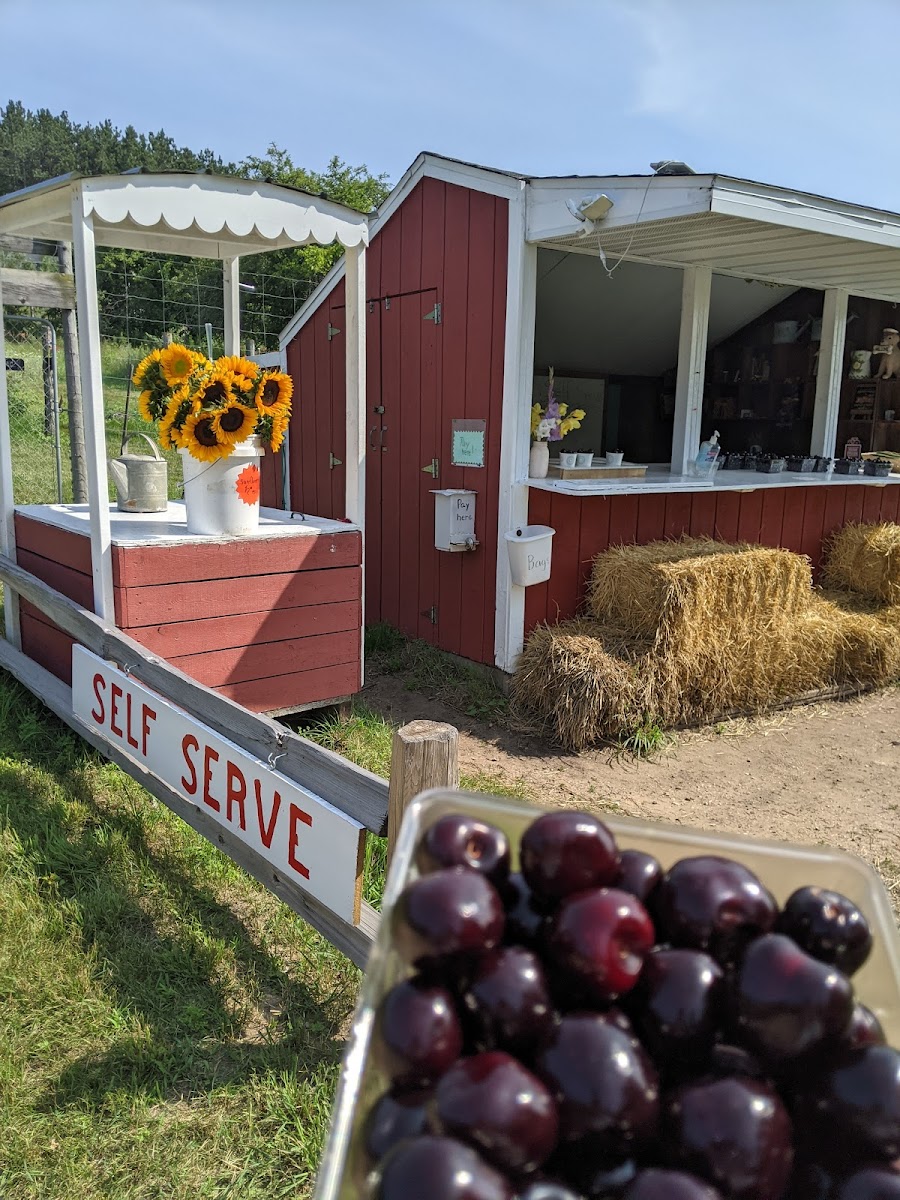Empire Farmers' Market photo 3