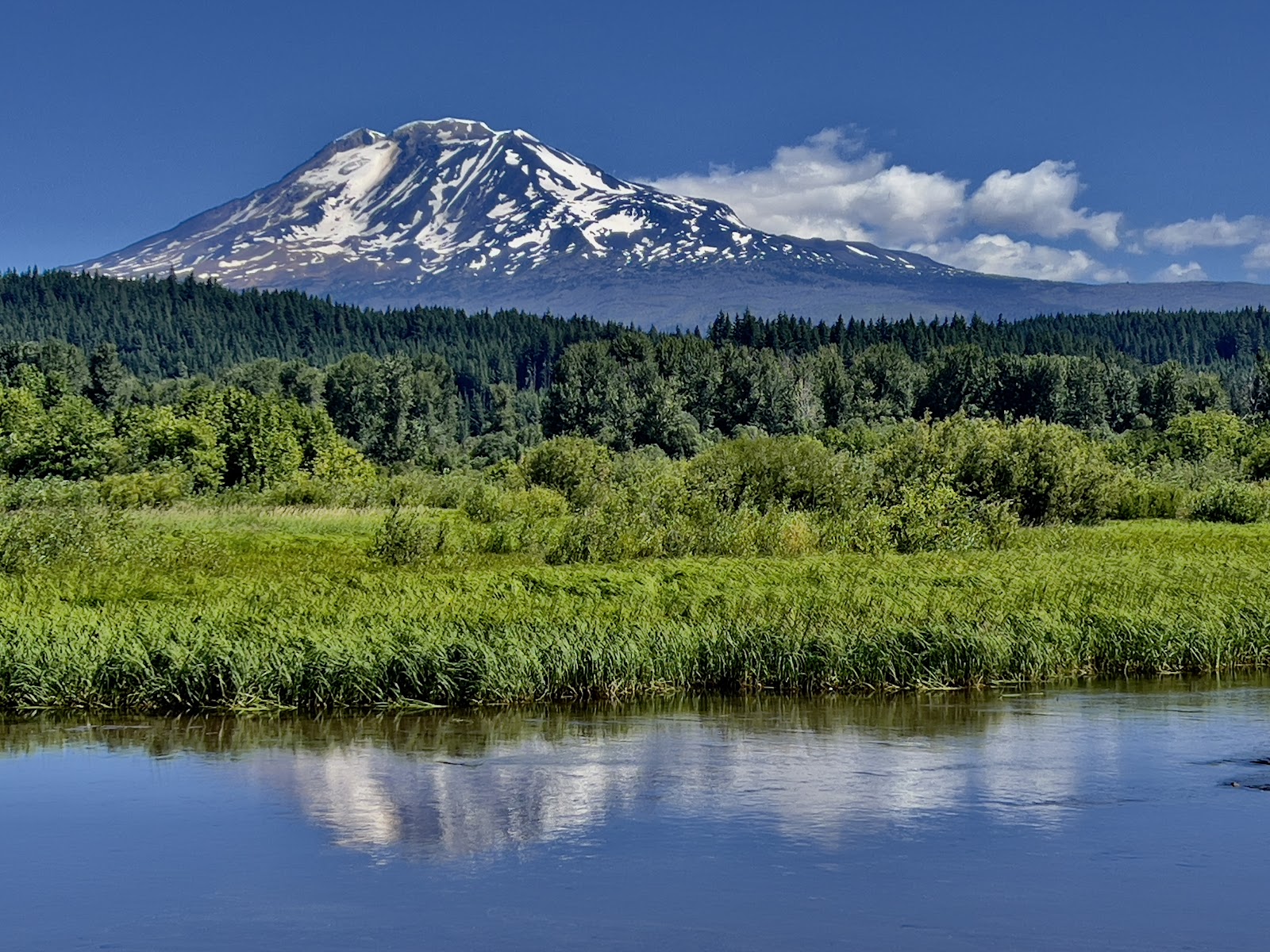 Stevenson Farmers' Market photo 7