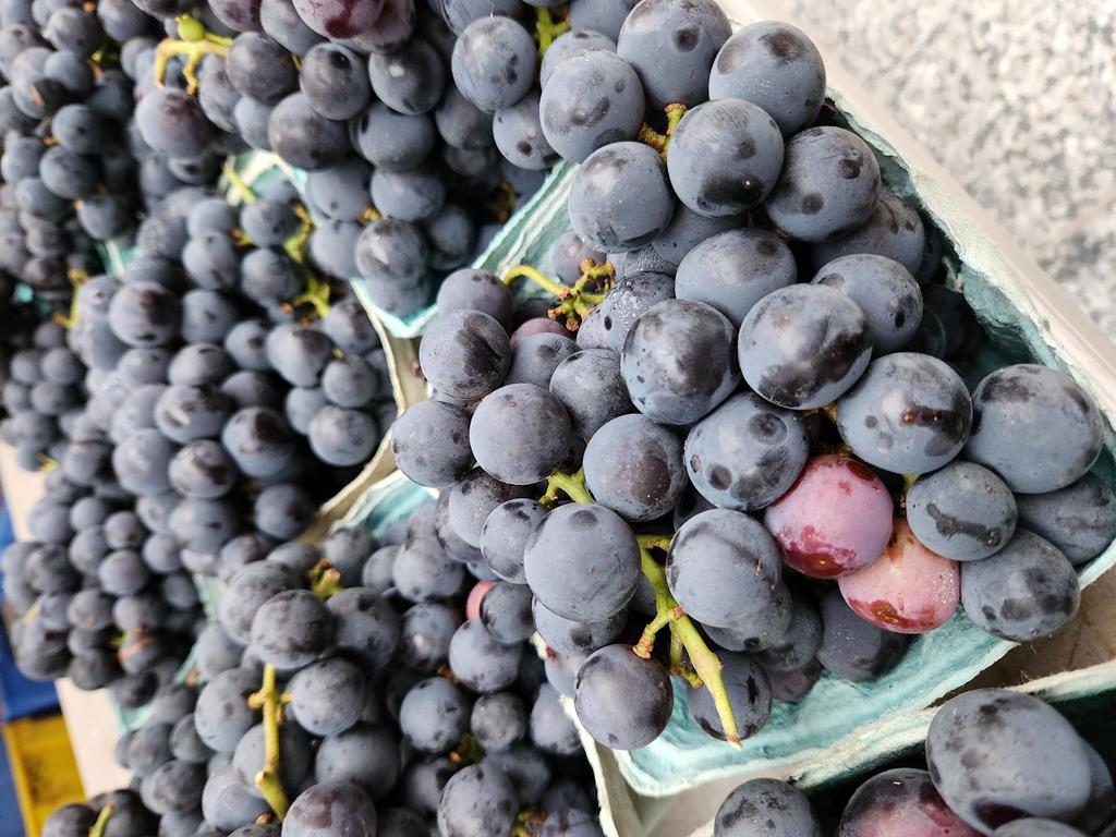 NorthCenter Farmers Market