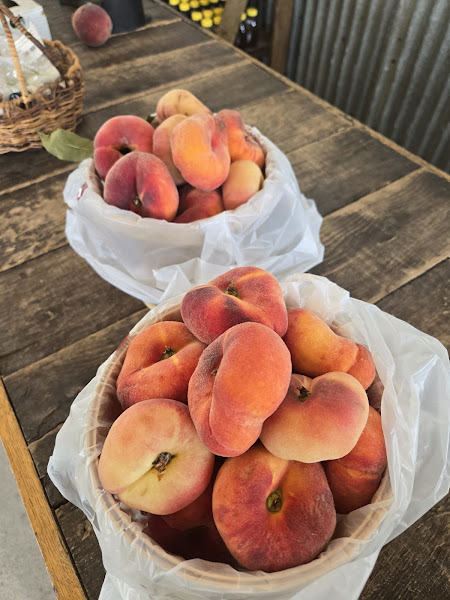 Salisbury Shore Fresh Farmers Market photo 3