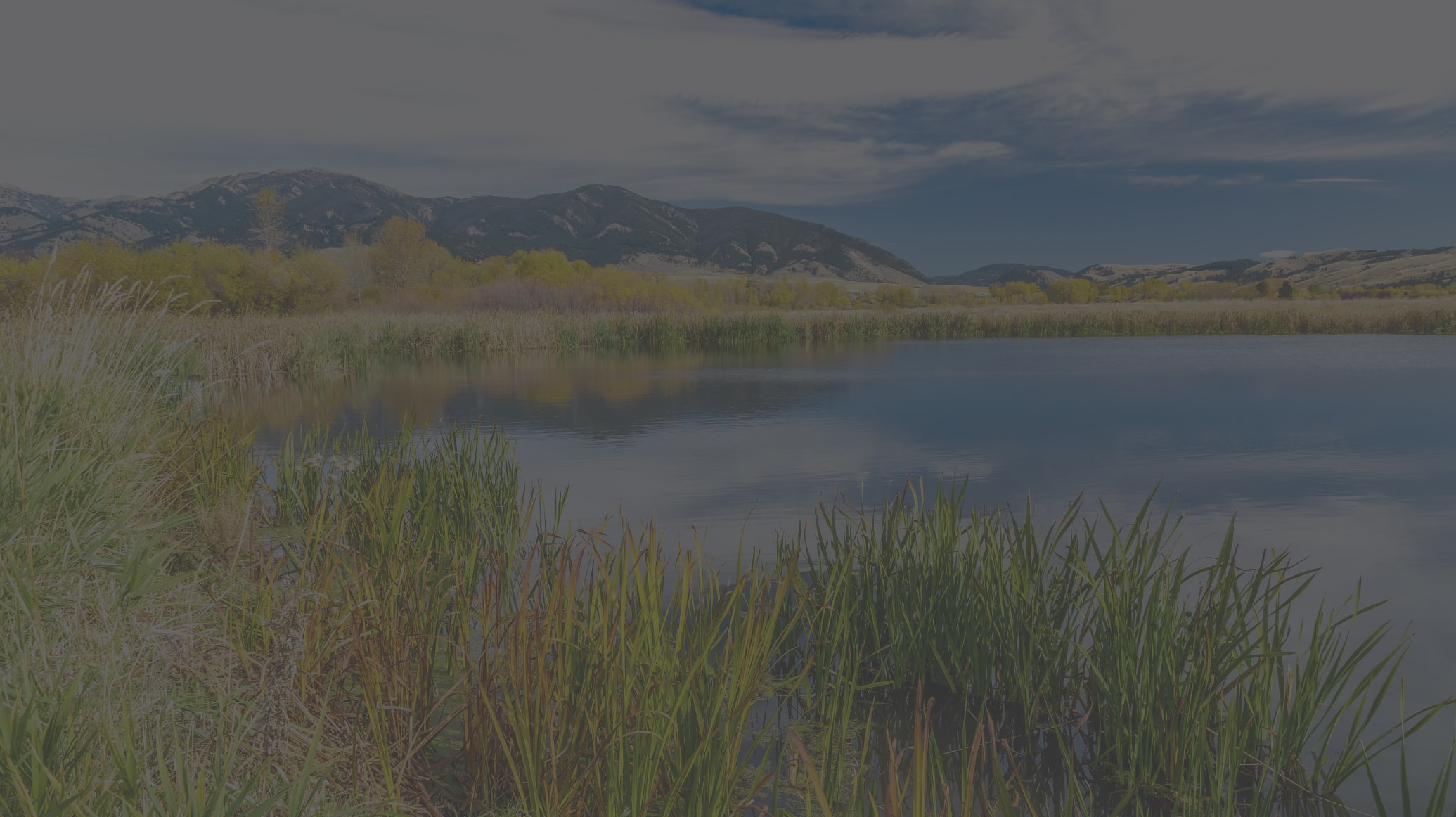 Bozeman Farmers' Market