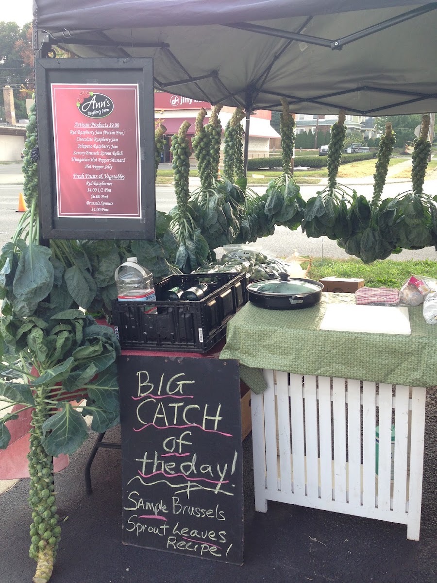 Clintonville Farmers' Market photo 2