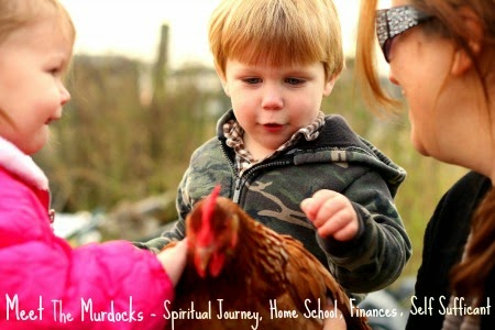 Murdock's Country Place photo 13