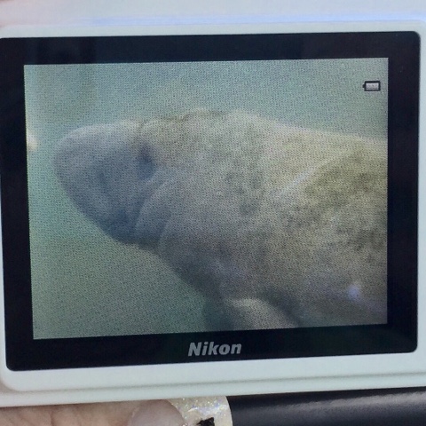 Murdock's Country Place photo 4