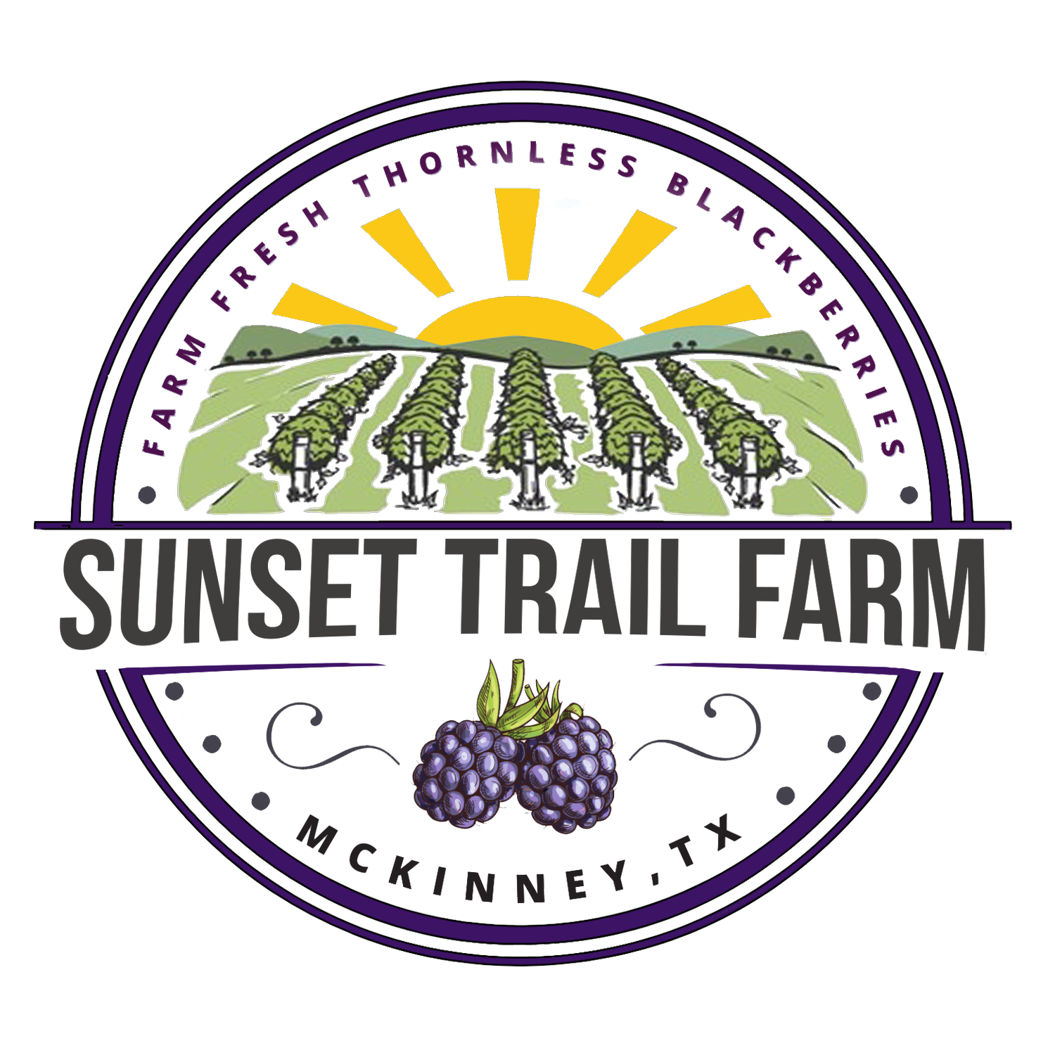 Sunset Trail Farm of McKinney photo 7