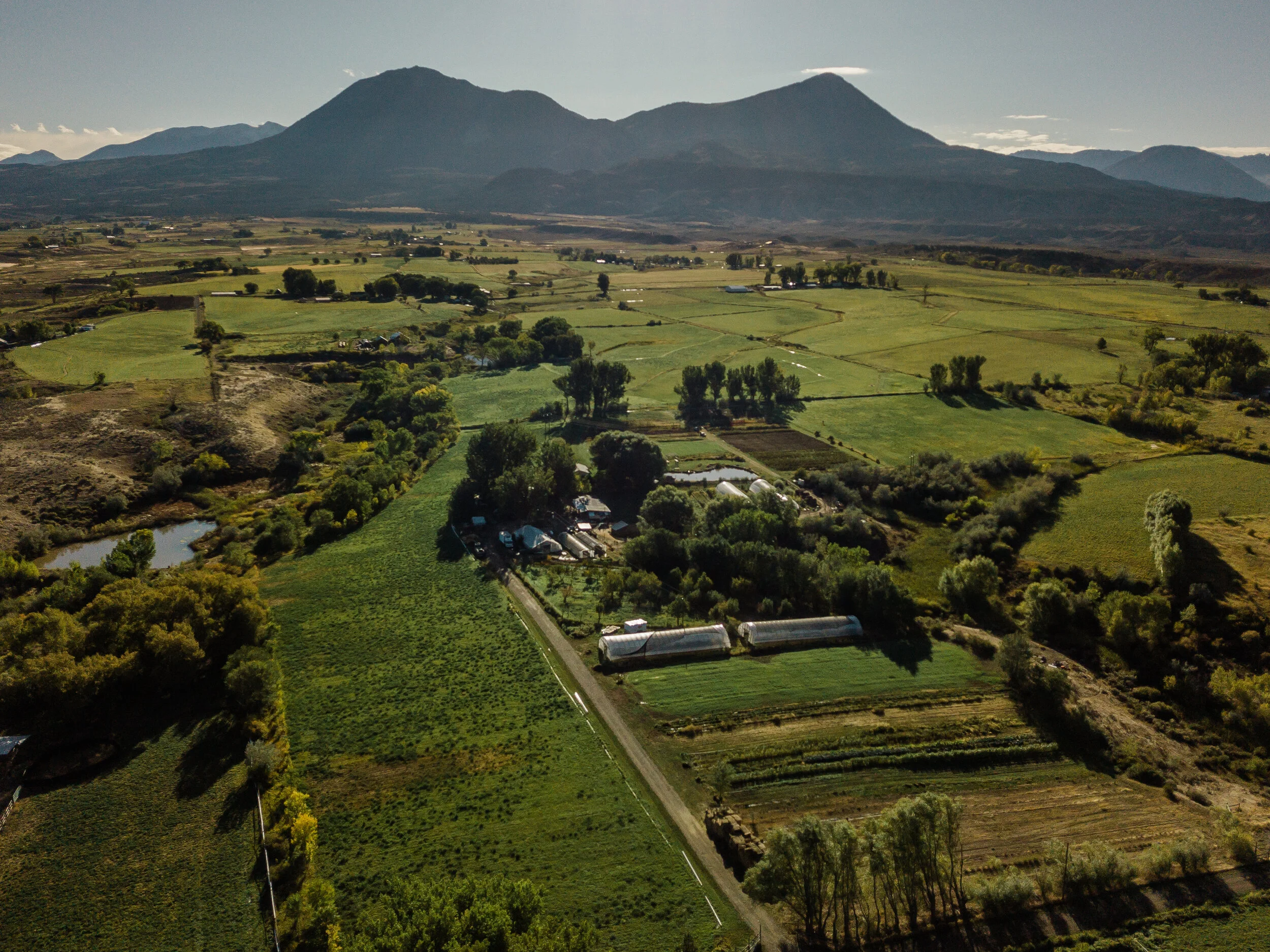 Zephyros Farm and Garden