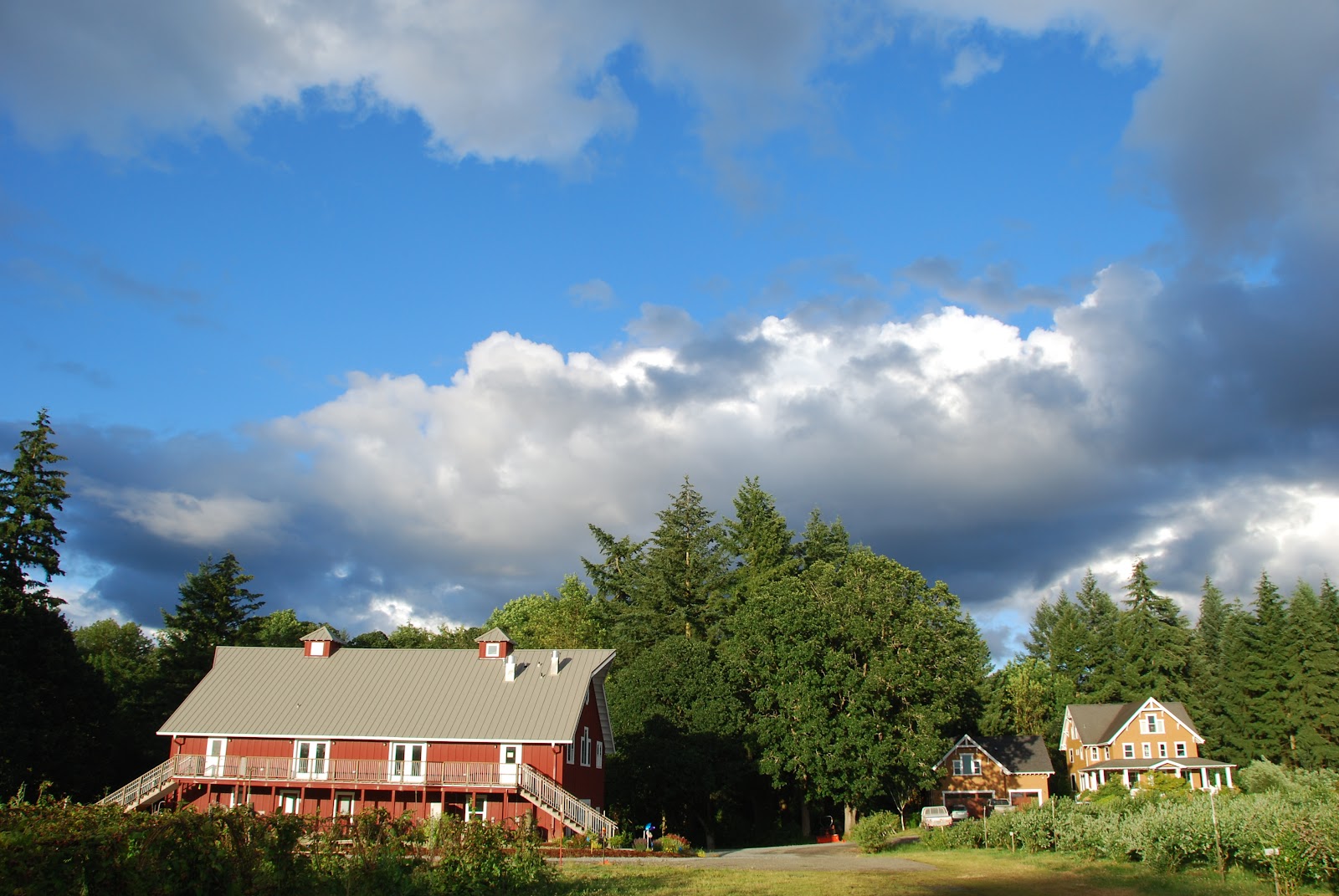 Morning Shade Farm photo 2