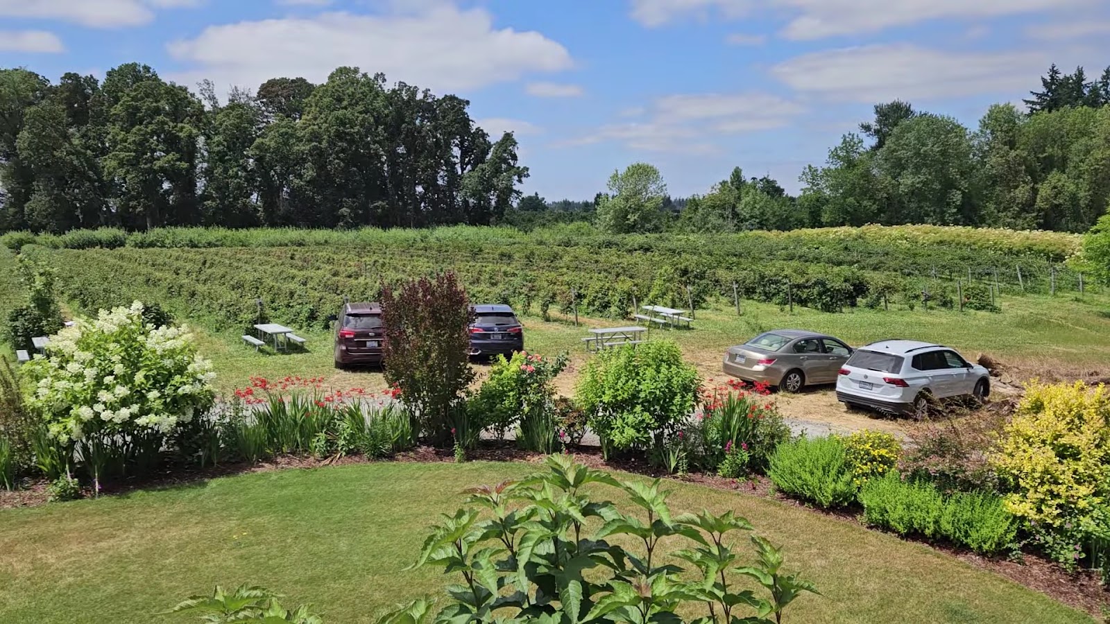 Morning Shade Farm photo 3