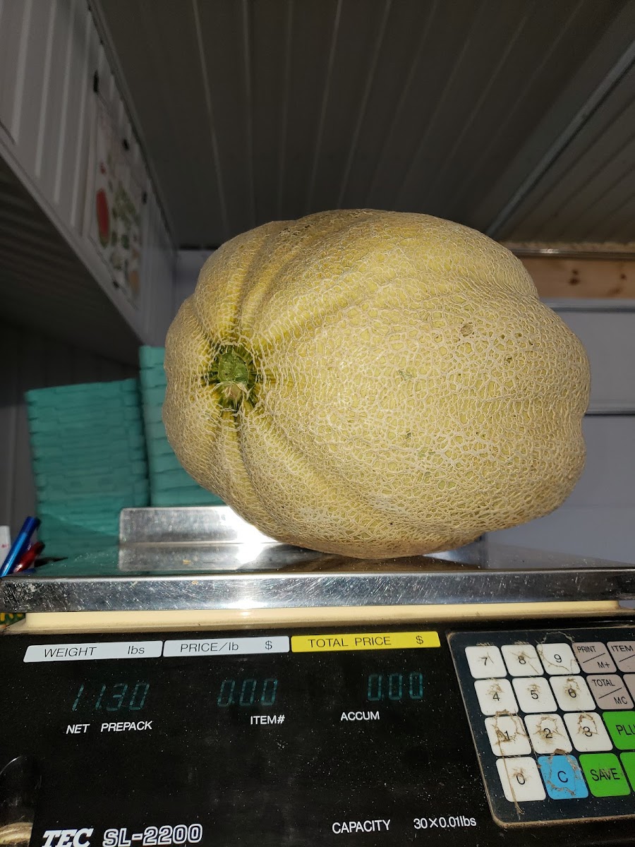 Ekler's Produce photo 2
