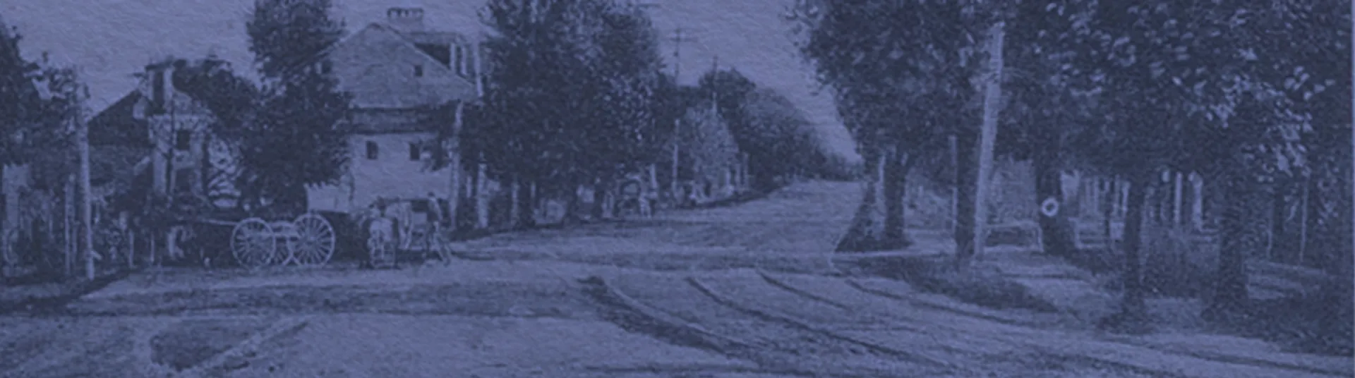 Reisterstown Farmers Market