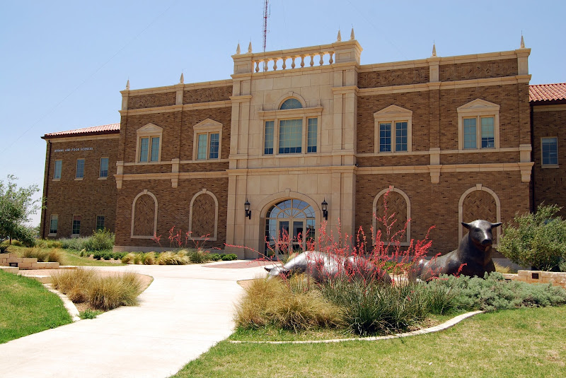 Raider Red Meats photo 3