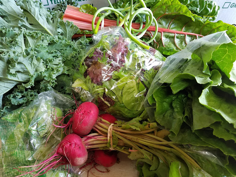 Stillman's Greenhouses & Farm Stand