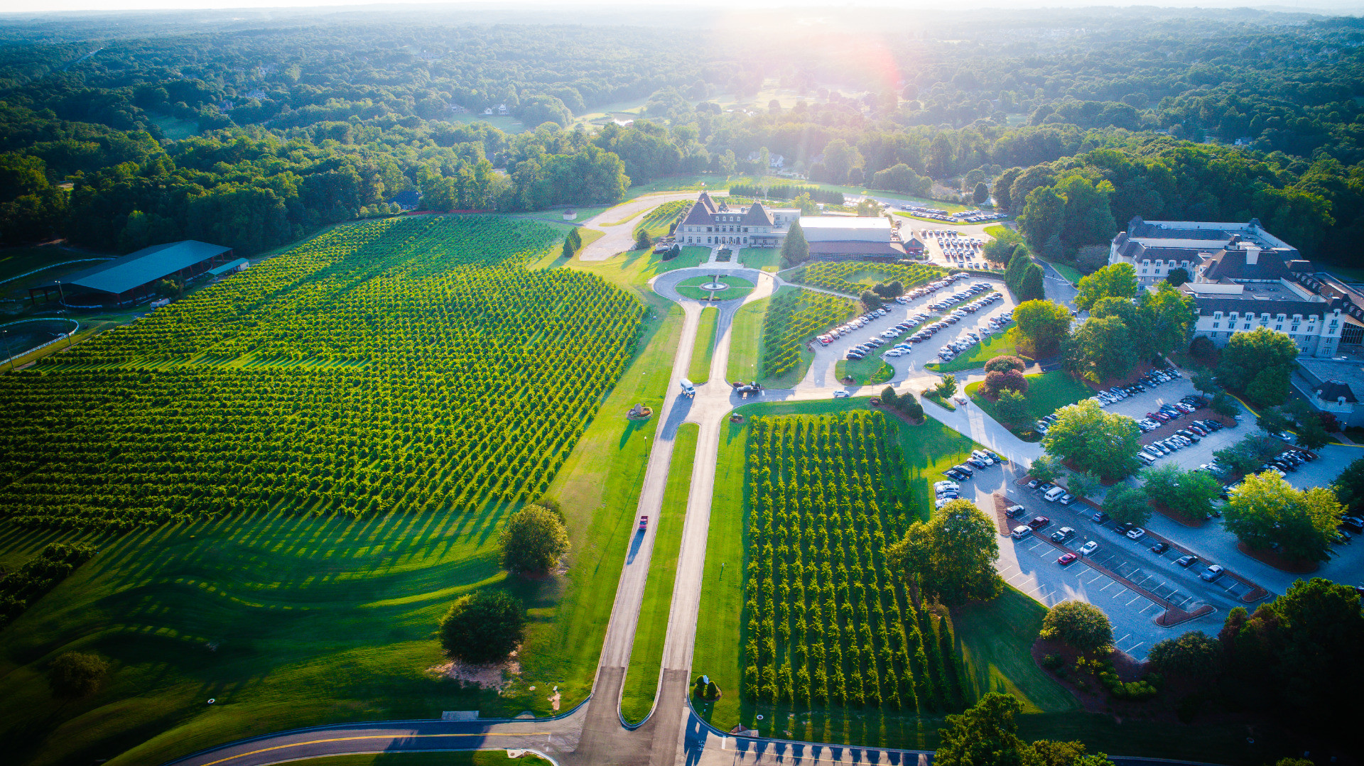 Braselton: Home Grown Farm Market