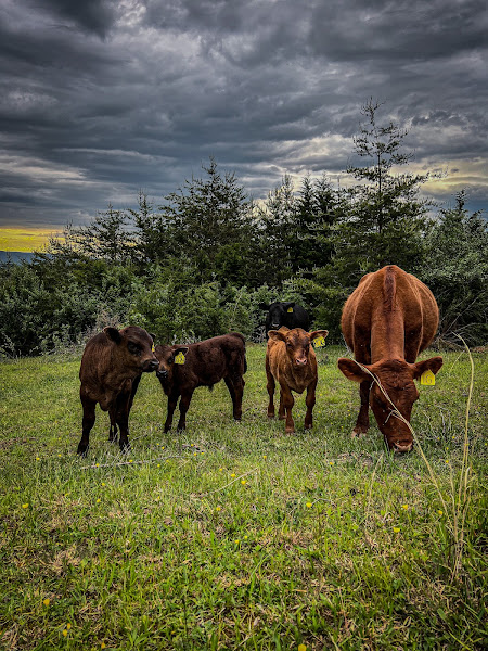 Hawksbill Peak Farms