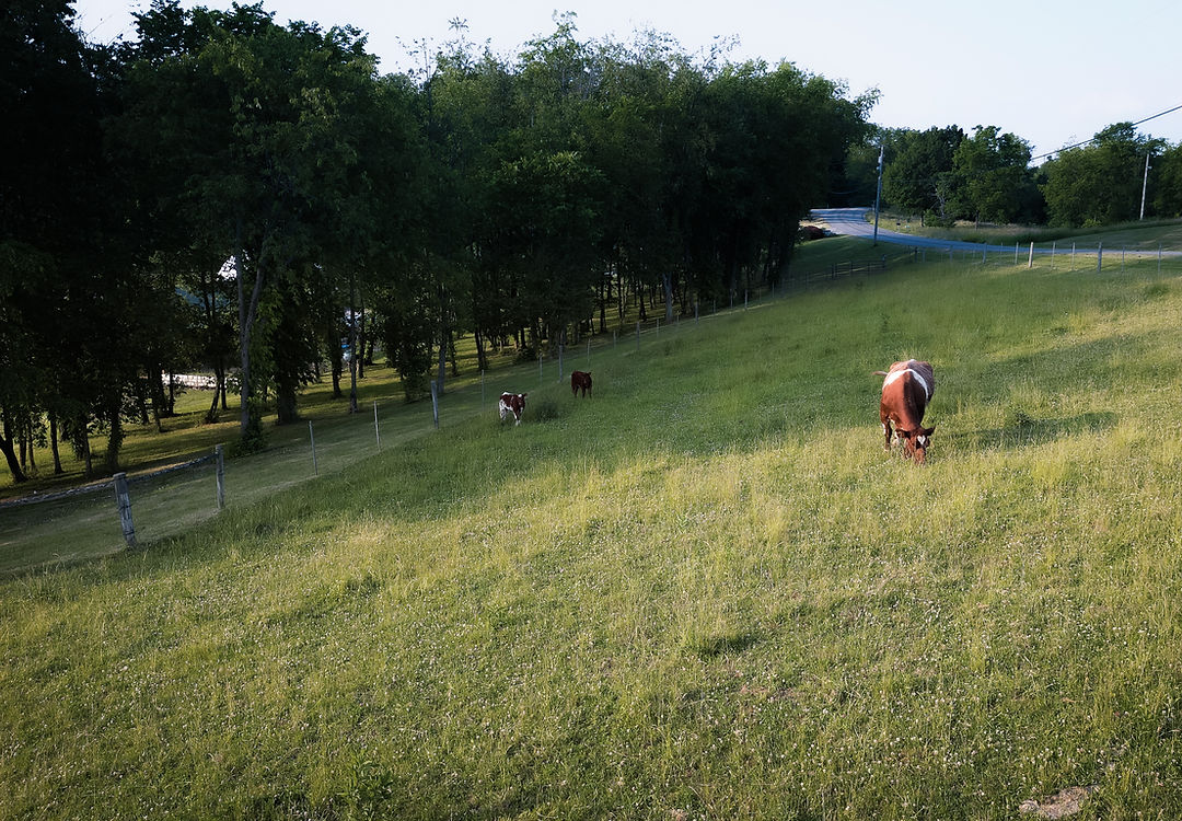 Coyne Family Farm LLC photo 11