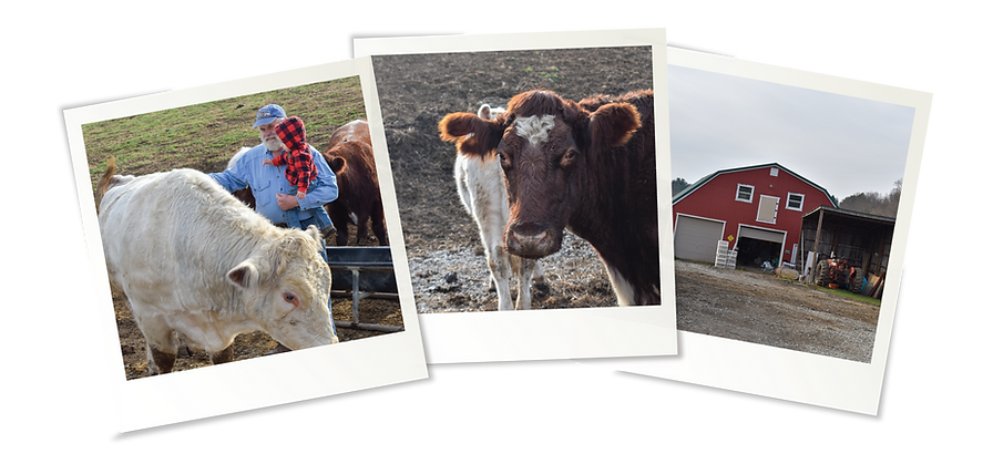 Coyne Family Farm LLC photo 12