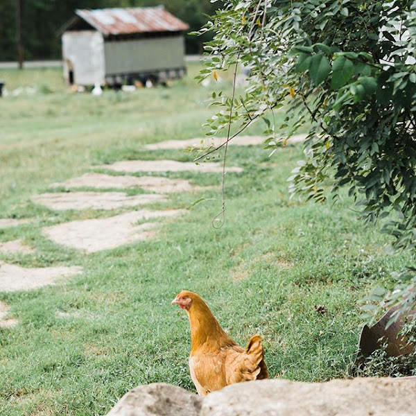 Annie Acres photo 2