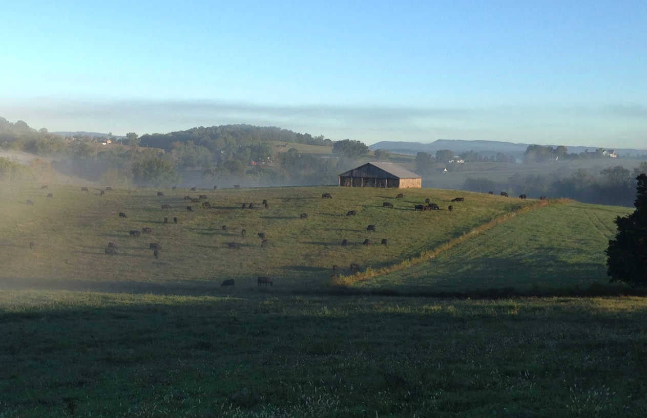 Lick Skillet Farm