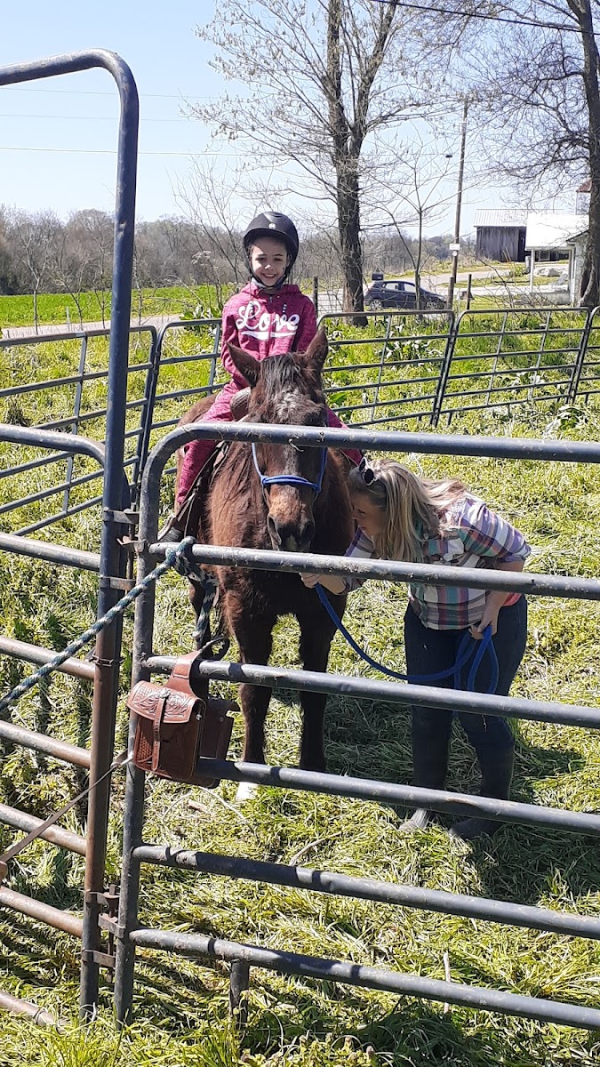 Lick Skillet Farm photo 5