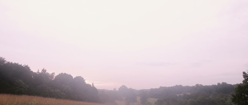 Summerfield Farms