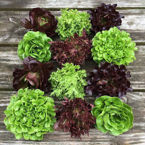 Fili-West Farms