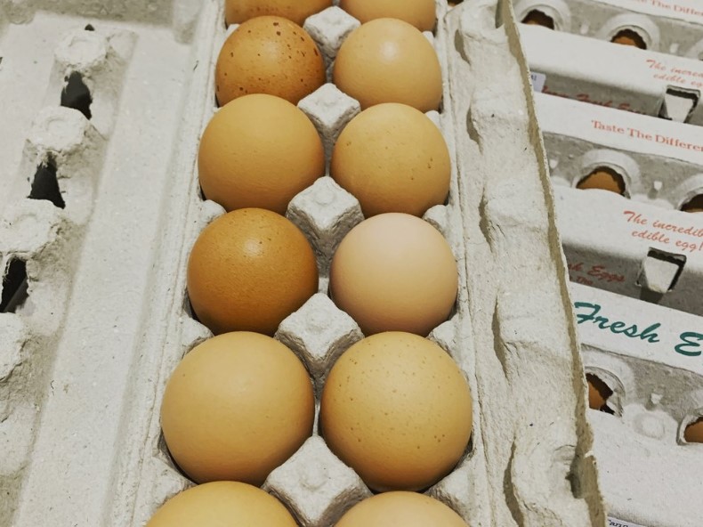 Bland Family Farm photo 3