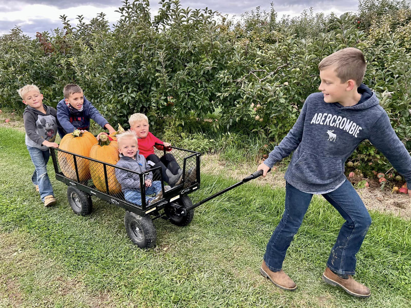 Twin Maple Orchards