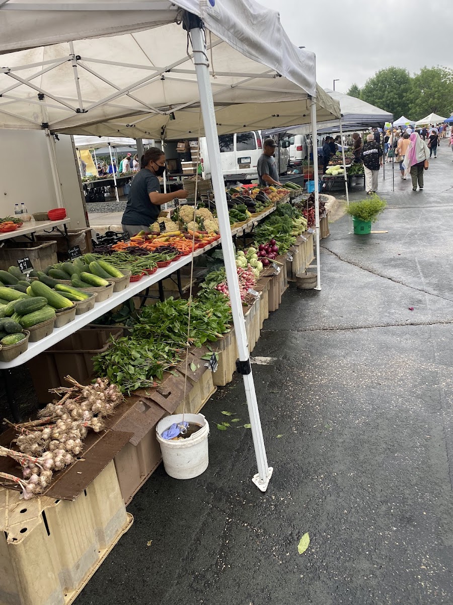 Bloomington Farmers' Market - Winter photo 2