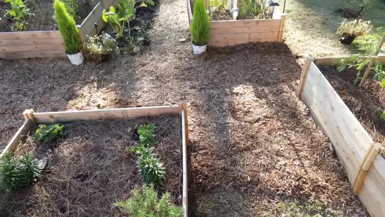 Black Seeds Urban Farms