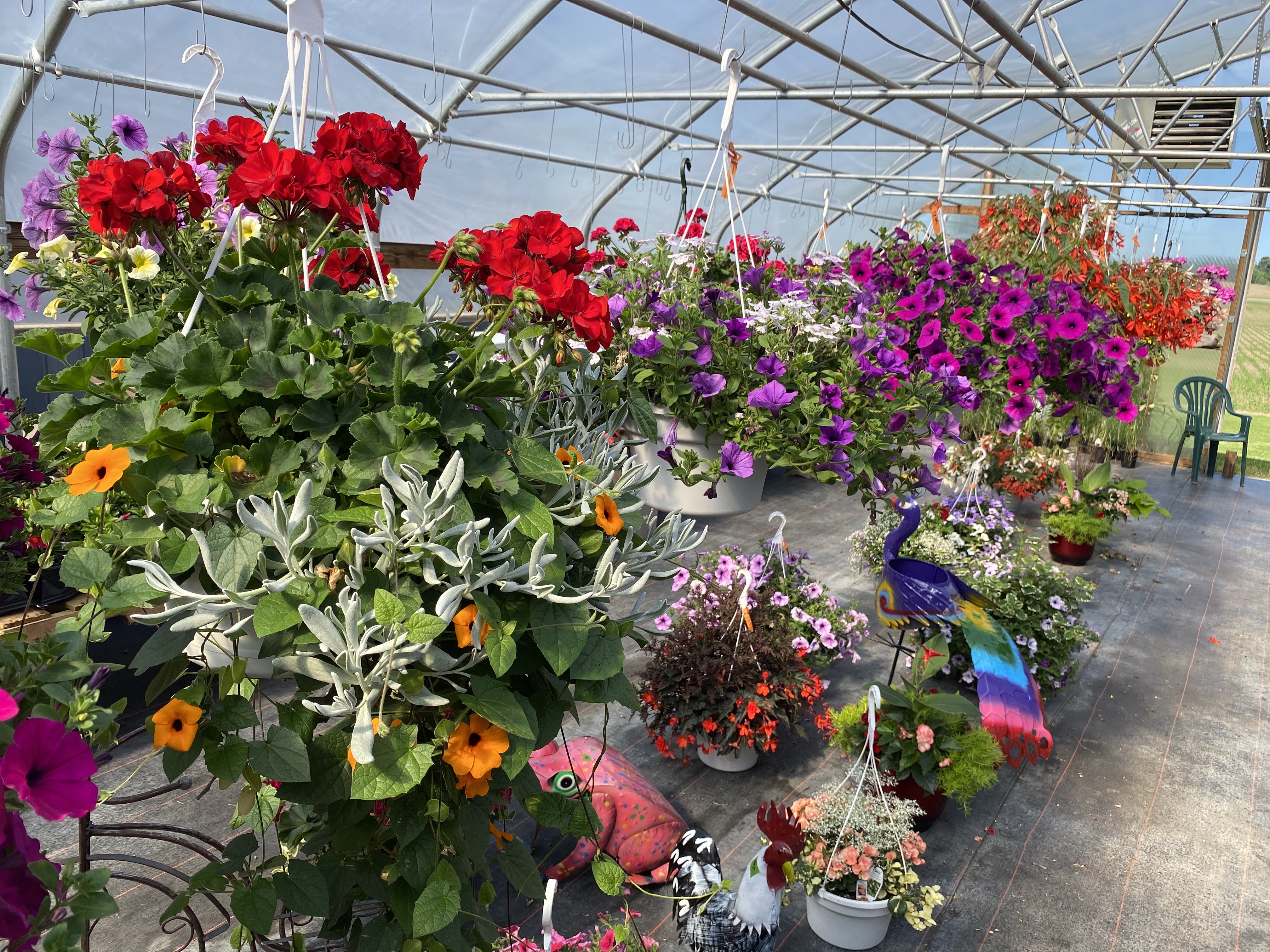 Country Lane Farmers Market