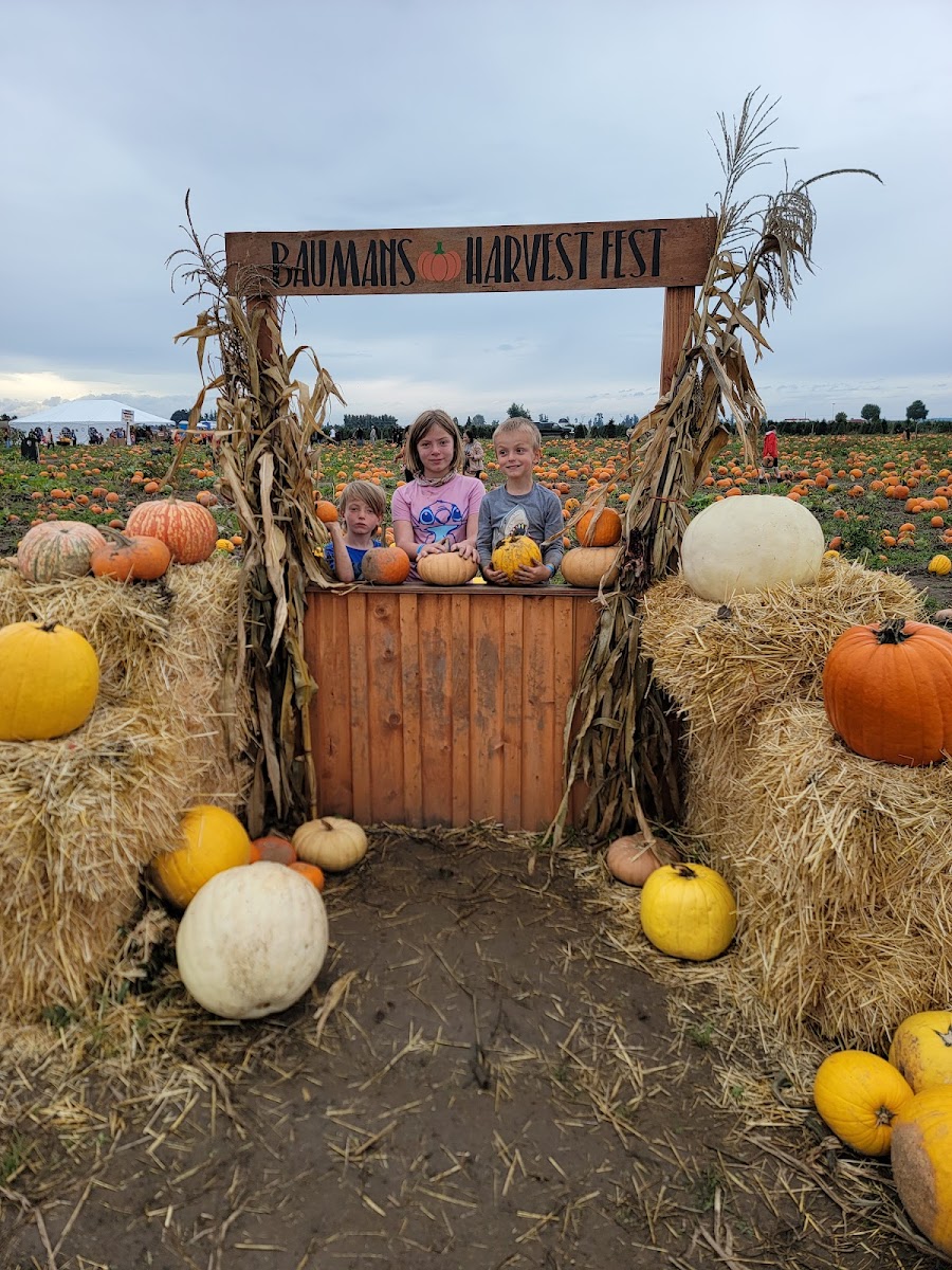 Bauman's Farm and Garden photo 28