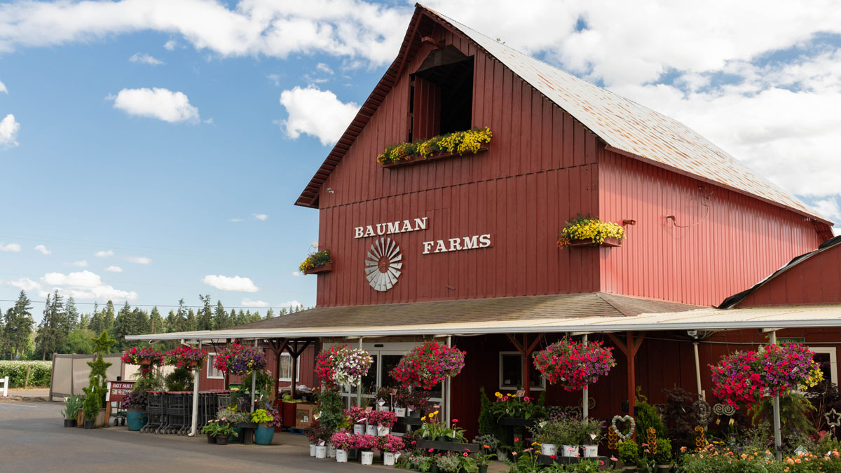 Bauman's Farm and Garden photo 30