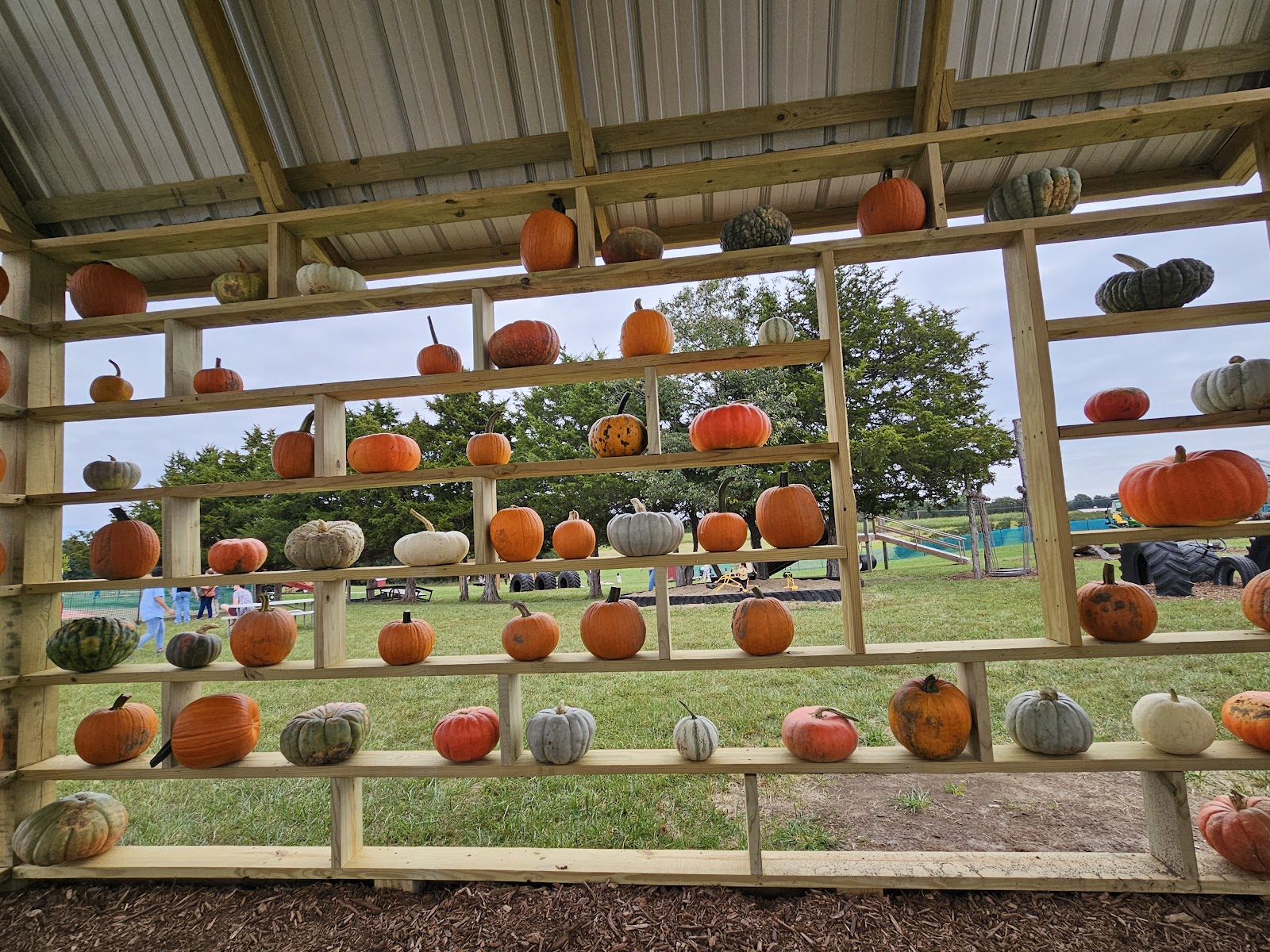 Lloyd's Family Farm
