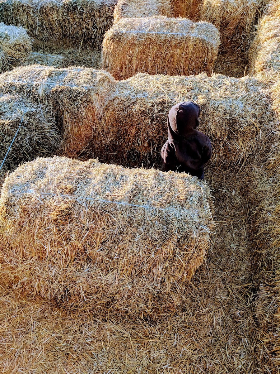 Lloyd's Family Farm photo 2