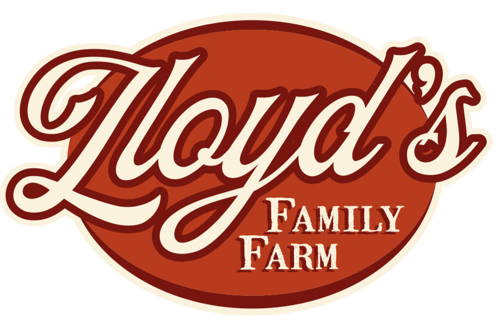 Lloyd's Family Farm photo 3