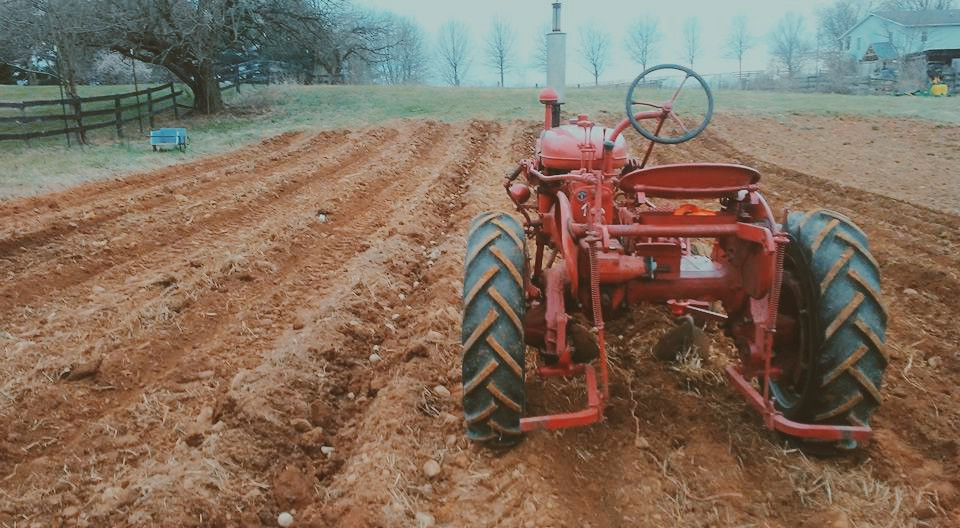 Chilly Hollow Farm
