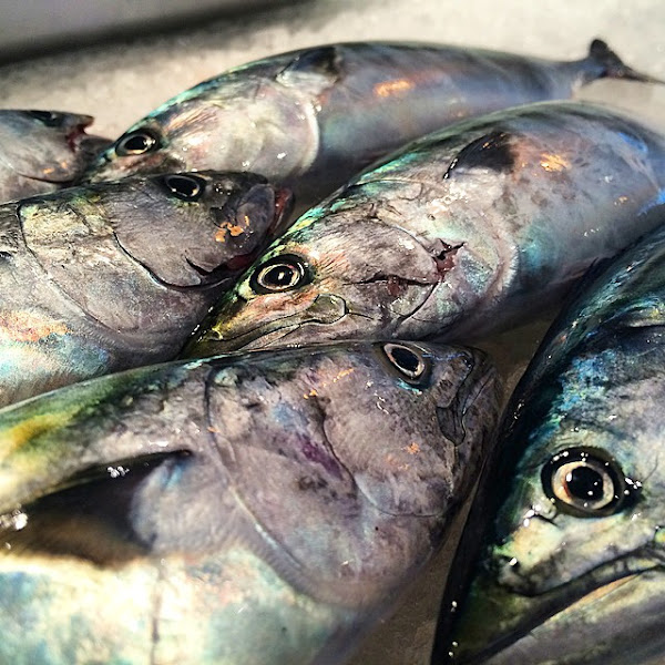 Chatham Fish & Lobster Co